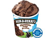 Ben & Jerry's Chocolate Fudge Brownie 465ml - Hayai Zoetermeer