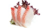 Shashimi tai zeebaars  - Daisuki Sushi Sittard